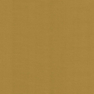 Rivage Gold by Kasmir Fabric