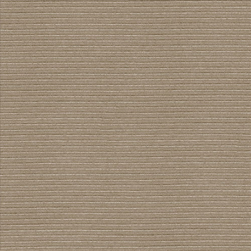 Rivage Latte by Kasmir Fabric 5092 54% Polyester
46% Cotton
 TAIWAN 10,000 Wyzenbeek Double Rubs Horizontal: N/A and Vertical: N/A 54 - Fabric Carolina -
