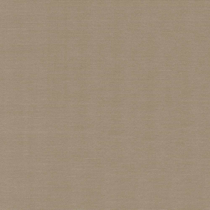 Rivage Latte by Kasmir Fabric 5092 54% Polyester
46% Cotton
 TAIWAN </p><p>Repeat: Horizontal: N/A and Vertical: N/A 54 - 55 - Fabric Carolina -