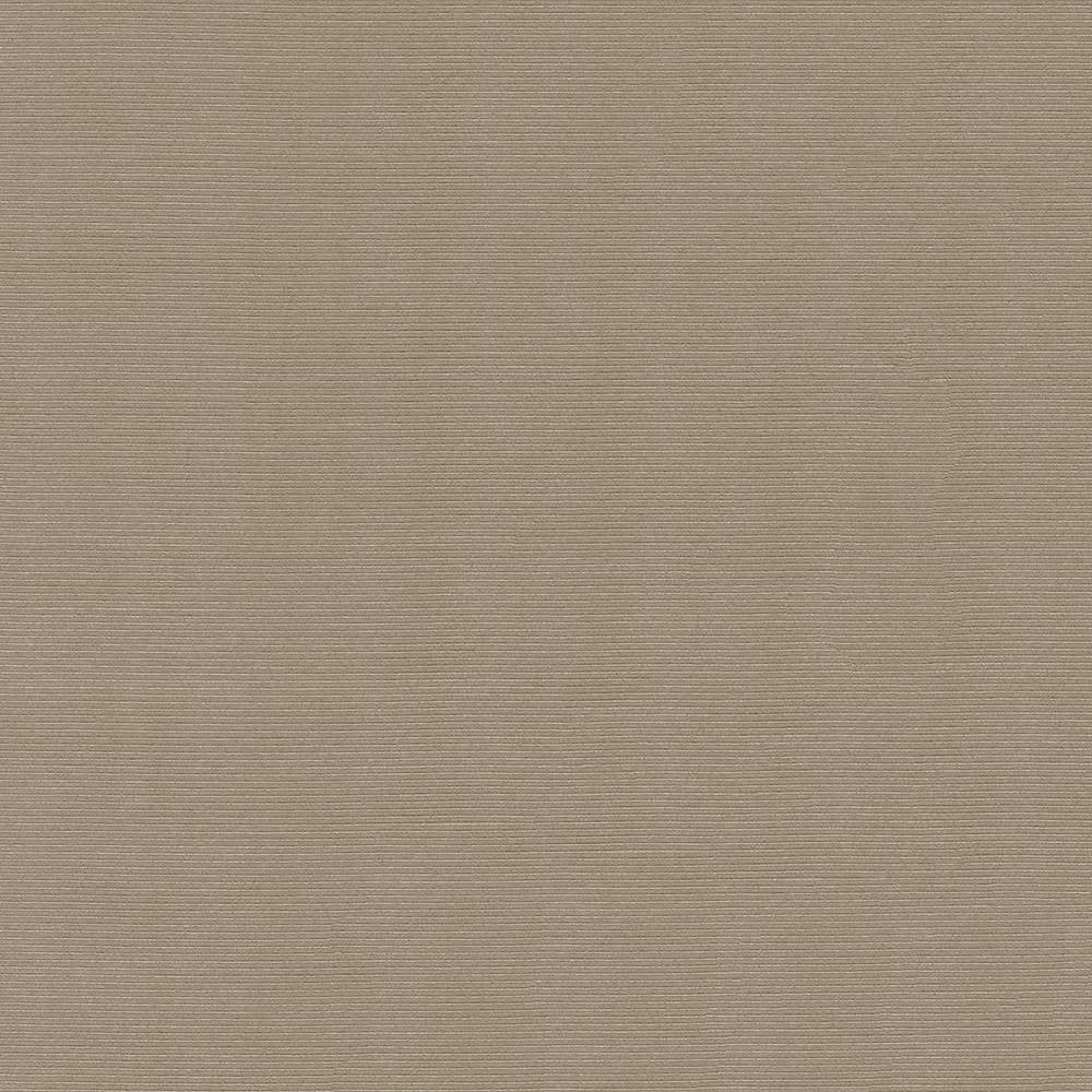 Rivage Latte by Kasmir Fabric 5092 TAIWAN 10,000 Wyzenbeek Double Rubs H: N/A, V:N/A 54 - 55 - Fabric Carolina - Kasmir