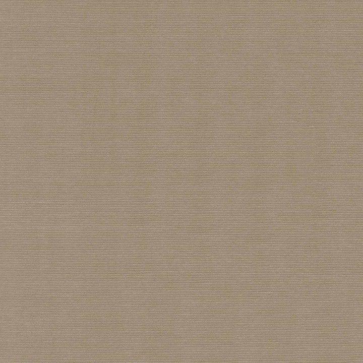 Rivage Latte by Kasmir Fabric 5092 TAIWAN 10,000 Wyzenbeek Double Rubs H: N/A, V:N/A 54 - 55 - Fabric Carolina - Kasmir