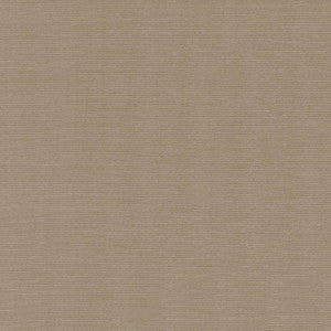 Rivage Latte by Kasmir Fabric