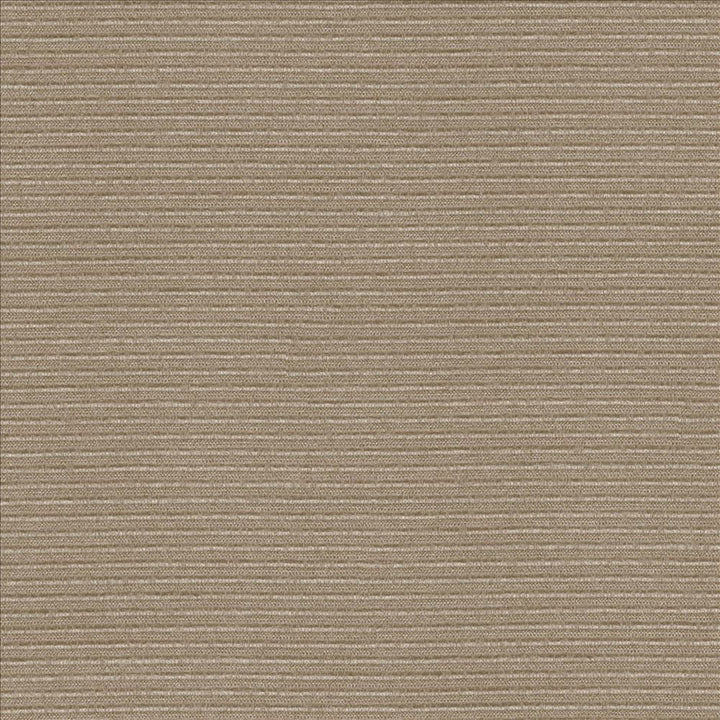 Rivage Latte  by Kasmir Fabric See sample 54% Polyester
46% Cotton
 TAIWAN 10,000 Wyzenbeek Double Rubs </p><p>Repeat: Horizontal: N/A and Vertical: N/A 54  - Fabric Carolina -