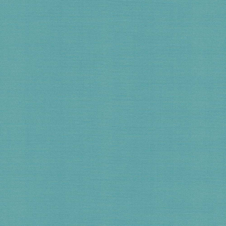 Rivage Ocean by Kasmir Fabric 5098 TAIWAN 10,000 Wyzenbeek Double Rubs H: N/A, V:N/A 54 - 55 - Fabric Carolina - Kasmir
