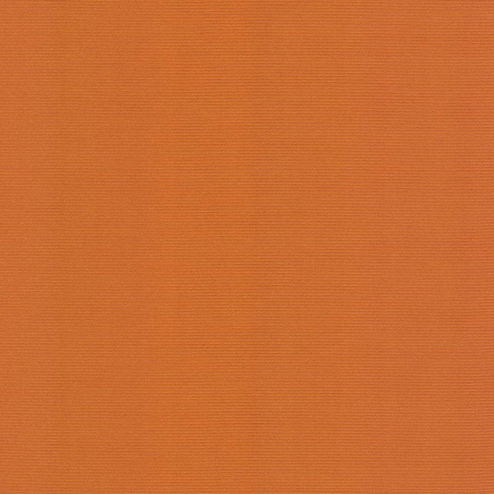 Rivage Orange by Kasmir Fabric 5094 54% Polyester
46% Cotton
 TAIWAN </p><p>Repeat: Horizontal: N/A and Vertical: N/A 54 - 55 - Fabric Carolina -