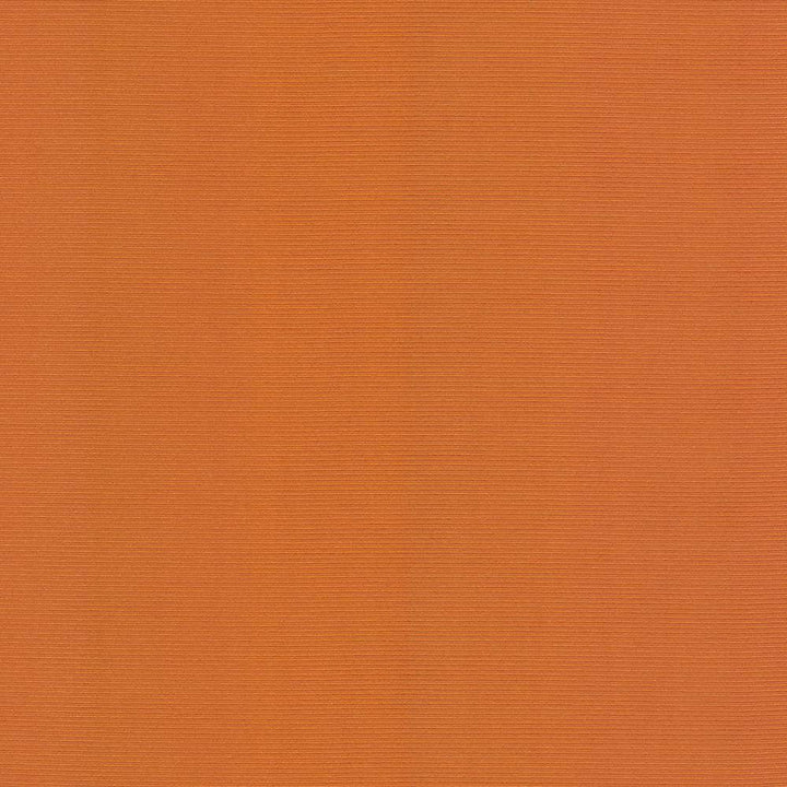 Rivage Orange by Kasmir Fabric 5094 TAIWAN 10,000 Wyzenbeek Double Rubs H: N/A, V:N/A 54 - 55 - Fabric Carolina - Kasmir