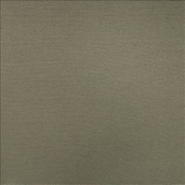 Rivage Pewter by Kasmir Fabric 5101 54% Polyester 46% Cotton TAIWAN 10,000 Wyzenbeek Double Rubs H: N/A, V: N/A 54 - 55 - Fabric Carolina - Kasmir