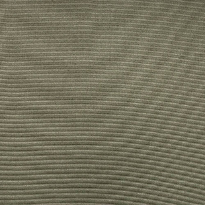 Rivage Pewter by Kasmir Fabric 5101 54% Polyester
46% Cotton
 TAIWAN </p><p>Repeat: Horizontal: N/A and Vertical: N/A 54 - 55 - Fabric Carolina -