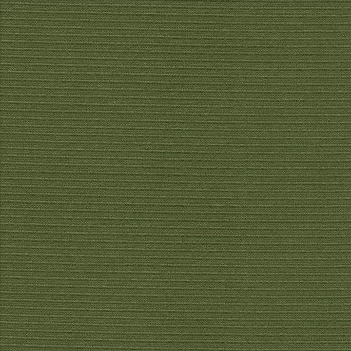 Rivage Pine by Kasmir Fabric 5099 54% Polyester
46% Cotton
 TAIWAN </p><p>Repeat: Horizontal: N/A and Vertical: N/A 54 - 55 - Fabric Carolina -