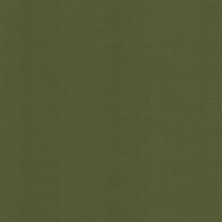 Rivage Pine by Kasmir Fabric 5099 TAIWAN 10,000 Wyzenbeek Double Rubs H: N/A, V:N/A 54 - 55 - Fabric Carolina - Kasmir