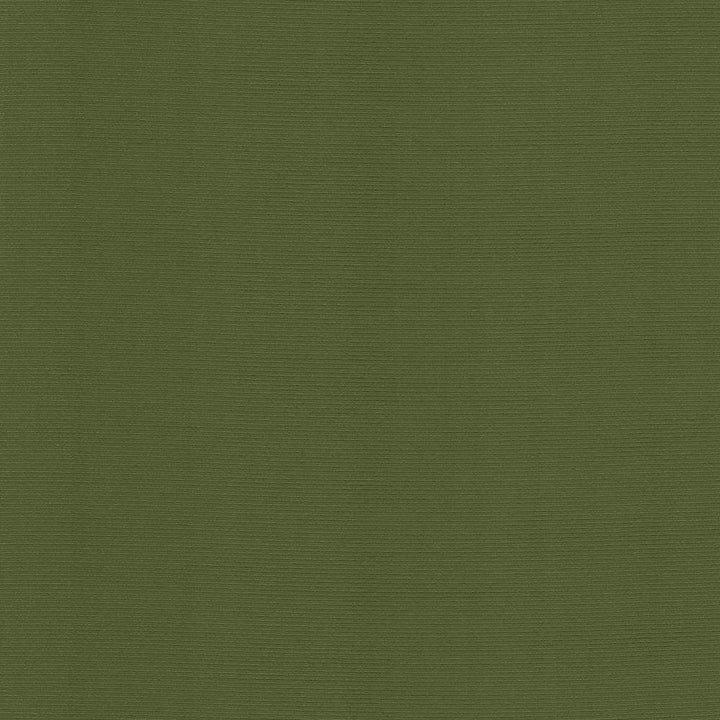Rivage Pine by Kasmir Fabric 5099 54% Polyester
46% Cotton
 TAIWAN </p><p>Repeat: Horizontal: N/A and Vertical: N/A 54 - 55 - Fabric Carolina -