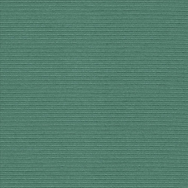 Rivage Seaspray by Kasmir Fabric 5098 54% Polyester
46% Cotton
 TAIWAN 10,000 Wyzenbeek Double Rubs Horizontal: N/A and Vertical: N/A 54 - Fabric Carolina -
