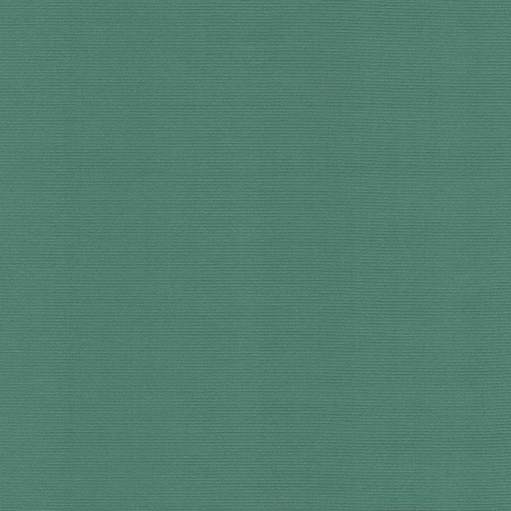 Rivage Seaspray by Kasmir Fabric 5098 54% Polyester
46% Cotton
 TAIWAN </p><p>Repeat: Horizontal: N/A and Vertical: N/A 54 - 55 - Fabric Carolina -
