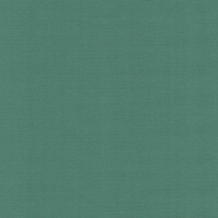 Rivage Seaspray by Kasmir Fabric 5098 TAIWAN 10,000 Wyzenbeek Double Rubs H: N/A, V:N/A 54 - 55 - Fabric Carolina - Kasmir