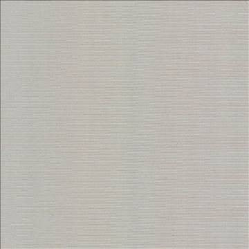Rivage Silver by Kasmir Fabric 5100 54% Polyester 46% Cotton TAIWAN 10,000 Wyzenbeek Double Rubs H: N/A, V: N/A 54 - 55 - Fabric Carolina - Kasmir