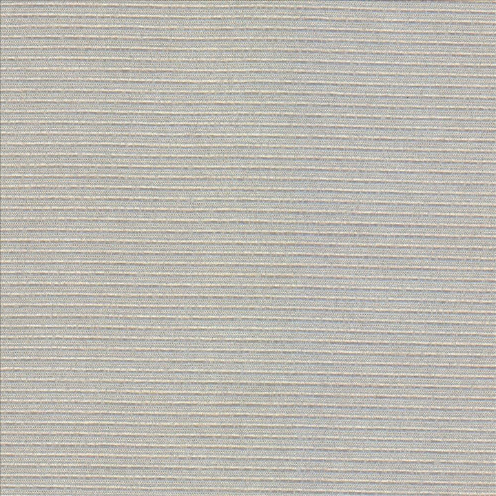 Rivage Silver by Kasmir Fabric 5100 54% Polyester 46% Cotton TAIWAN 10,000 Wyzenbeek Double Rubs Horizontal: 0 Inches and Vertical: 0 Inches 54 - 55 - Fabric Carolina -
