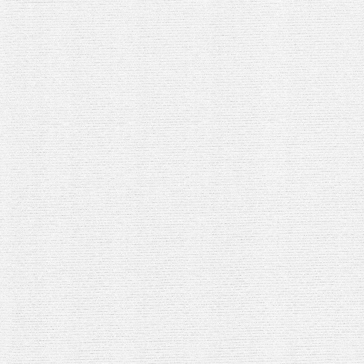 Rivage White by Kasmir Fabric 5092 TAIWAN 10,000 Wyzenbeek Double Rubs H: N/A, V:N/A 54 - 55 - Fabric Carolina - Kasmir