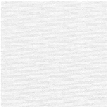 Rivage White by Kasmir Fabric 5092 54% Polyester 46% Cotton TAIWAN 10,000 Wyzenbeek Double Rubs H: N/A, V: N/A 54 - 55 - Fabric Carolina - Kasmir