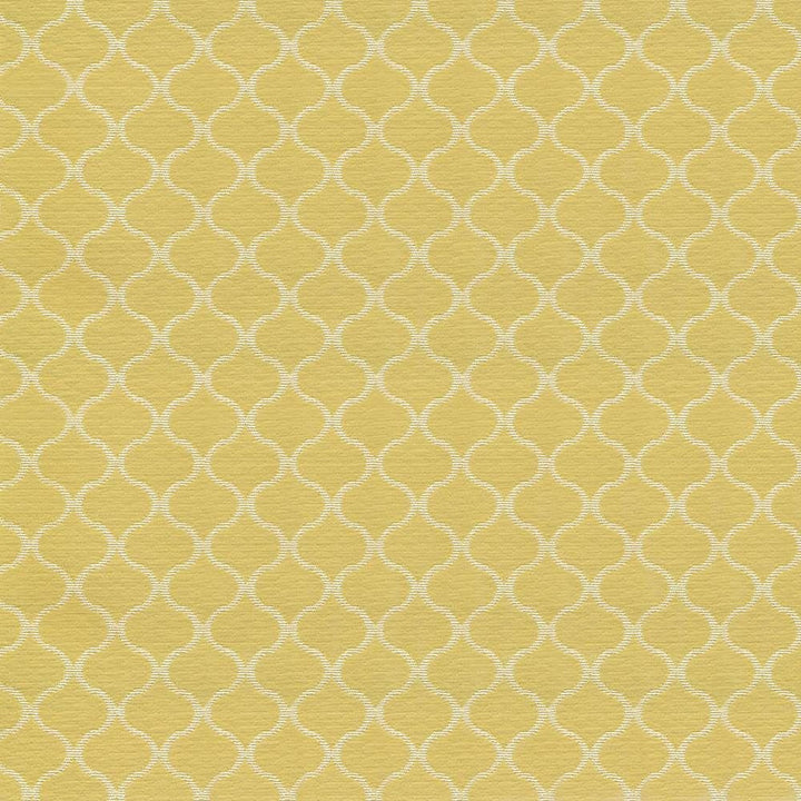 Rixford Trellis Daffodil  by Kasmir Fabric 1418 78% Polyester 22% Rayon  CHINA  </p><p>Repeat: Horizontal: 1 7/8 inches and Vertical: 1 6/8 inches 56  - 57   - Fabric Carolina -