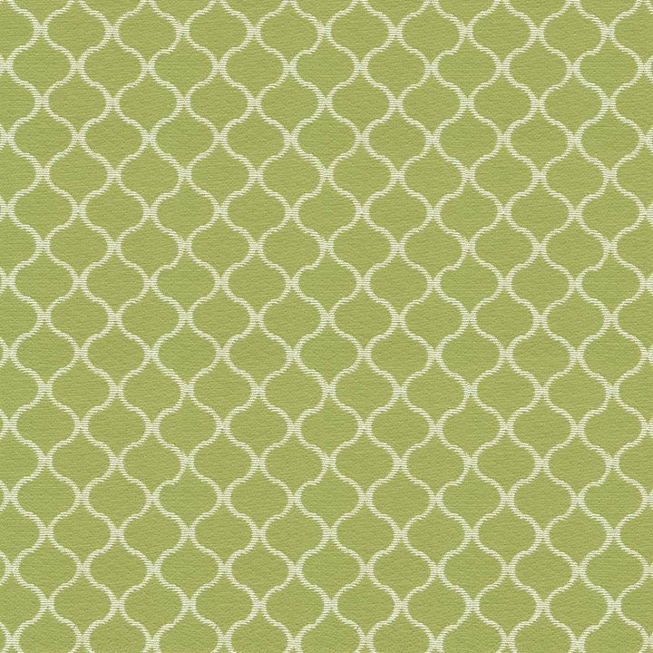 Rixford Trellis Lawn  by Kasmir Fabric See sample 78% Polyester
22% Rayon
 CHINA 12,000 Wyzenbeek Double Rubs </p><p>Repeat: Horizontal: 1 7/8 inches and Vertical: 1 6/8 inches 56  - Fabric Carolina -