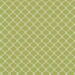 Rixford Trellis Lawn by Kasmir Fabric