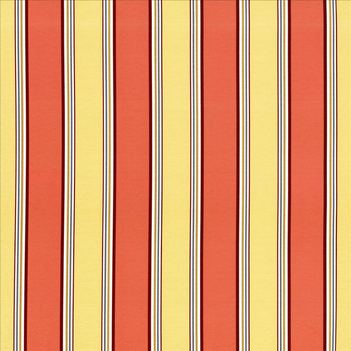 Robuchon Stripe Paprika  by Kasmir Fabric See sample 55% Cotton
45% Polyester
 SPAIN 20,000 Wyzenbeek Double Rubs </p><p>Repeat: Horizontal: 8 4/8 inches and Vertical: N/A 54  - Fabric Carolina -
