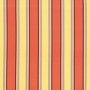 Robuchon Stripe Paprika by Kasmir Fabric