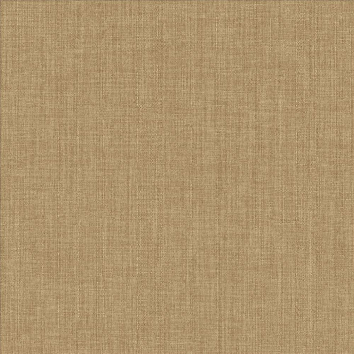 Robust Almond by Kasmir Fabric 5173 100% Polyester
 CHINA </p><p>Repeat: Horizontal: N/A and Vertical: N/A 54 - Fabric Carolina -
