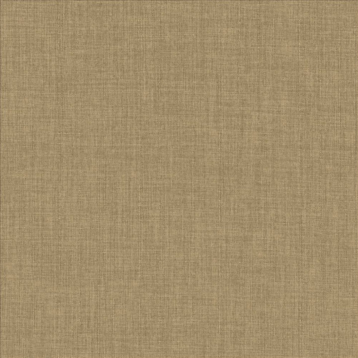 Robust Almond by Kasmir Fabric 5173 100% Polyester
 CHINA 81,000 Wyzenbeek Double Rubs Horizontal: N/A and Vertical: N/A 54 - Fabric Carolina -