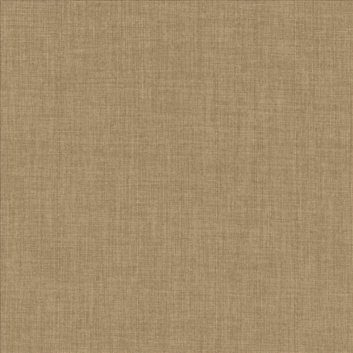Robust Almond by Kasmir Fabric 5173 100% Polyester
 CHINA 81,000 Wyzenbeek Double Rubs </p><p>Repeat: Horizontal: N/A and Vertical: N/A 54 - Fabric Carolina -