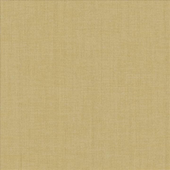 Robust Buff by Kasmir Fabric 5173 100% Polyester
 CHINA 81,000 Wyzenbeek Double Rubs Horizontal: N/A and Vertical: N/A 54 - Fabric Carolina -