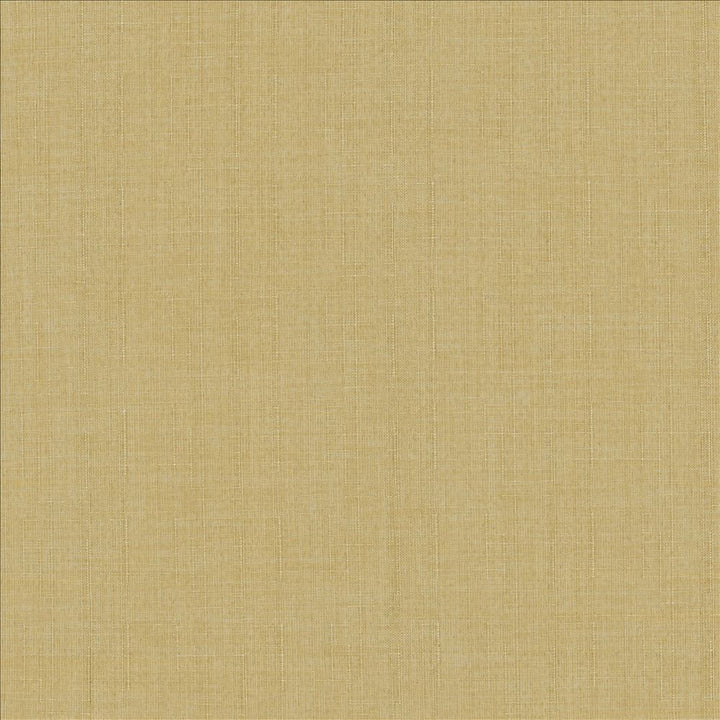 Robust Buff by Kasmir Fabric 5173 100% Polyester
 CHINA 81,000 Wyzenbeek Double Rubs </p><p>Repeat: Horizontal: N/A and Vertical: N/A 54 - Fabric Carolina -