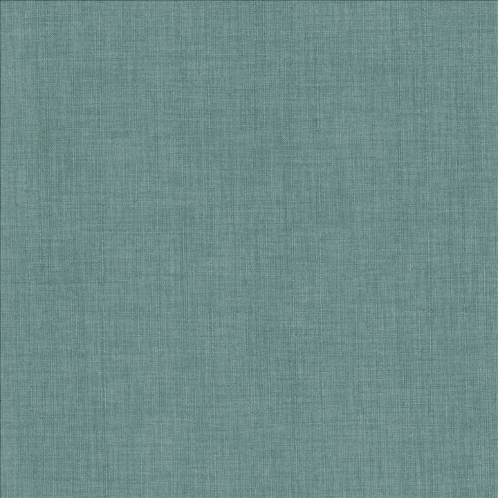 Robust Capri  by Kasmir Fabric See sample 100% Polyester
 CHINA 81,000 Wyzenbeek Double Rubs </p><p>Repeat: Horizontal: N/A and Vertical: N/A 54  - Fabric Carolina -