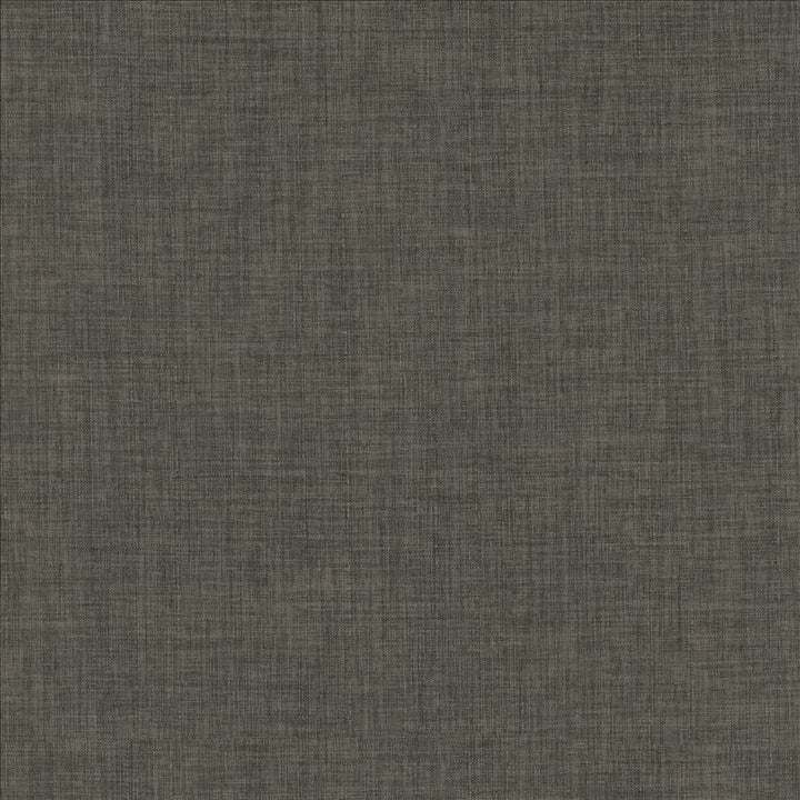 Robust Charcoal by Kasmir Fabric 5173 100% Polyester
 CHINA </p><p>Repeat: Horizontal: N/A and Vertical: N/A 54 - Fabric Carolina -