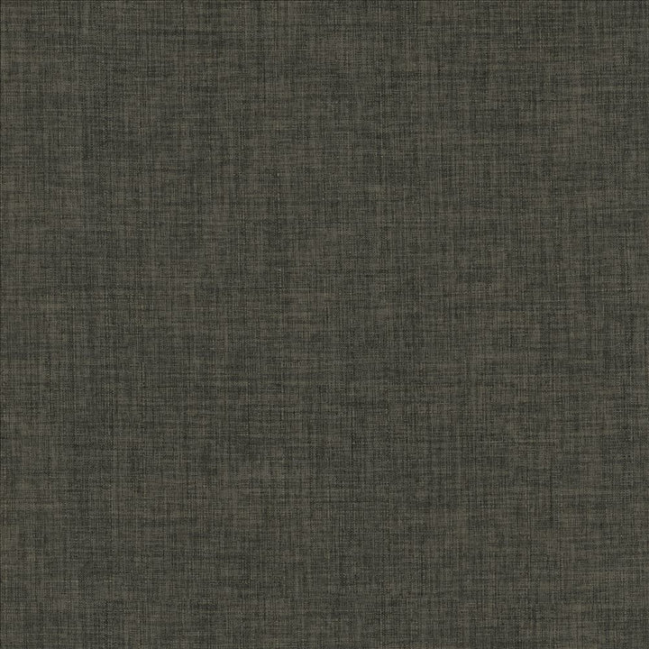 Robust Charcoal by Kasmir Fabric 5173 100% Polyester
 CHINA 81,000 Wyzenbeek Double Rubs Horizontal: N/A and Vertical: N/A 54 - Fabric Carolina -