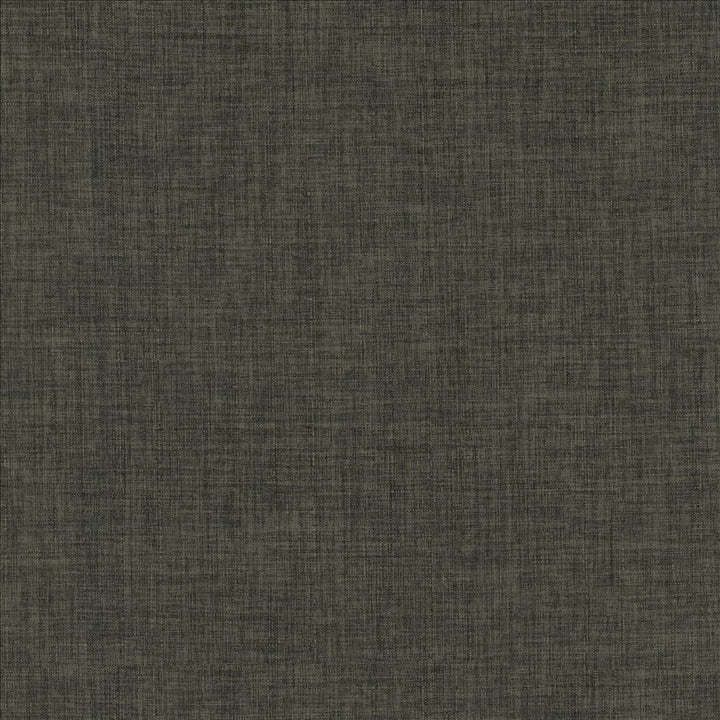 Robust Charcoal by Kasmir Fabric 5173 100% Polyester
 CHINA 81,000 Wyzenbeek Double Rubs </p><p>Repeat: Horizontal: N/A and Vertical: N/A 54 - Fabric Carolina -