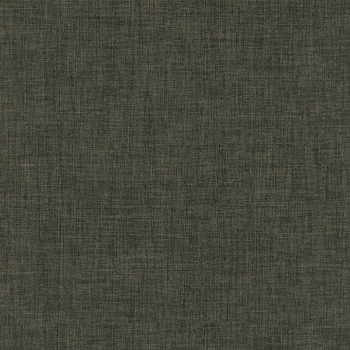Robust Charcoal by Kasmir Fabric 5173 100% Polyester
 CHINA </p><p>Repeat: Horizontal: N/A and Vertical: N/A 54 - Fabric Carolina -