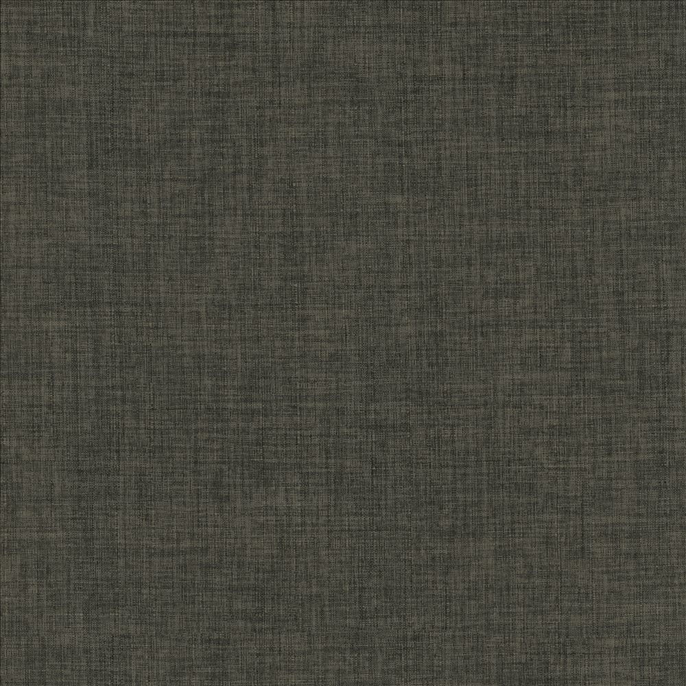 Robust Charcoal  by Kasmir Fabric See sample 100% Polyester
 CHINA 81,000 Wyzenbeek Double Rubs </p><p>Repeat: Horizontal: N/A and Vertical: N/A 54  - Fabric Carolina -
