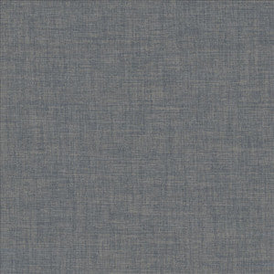 Robust Denim by Kasmir Fabric