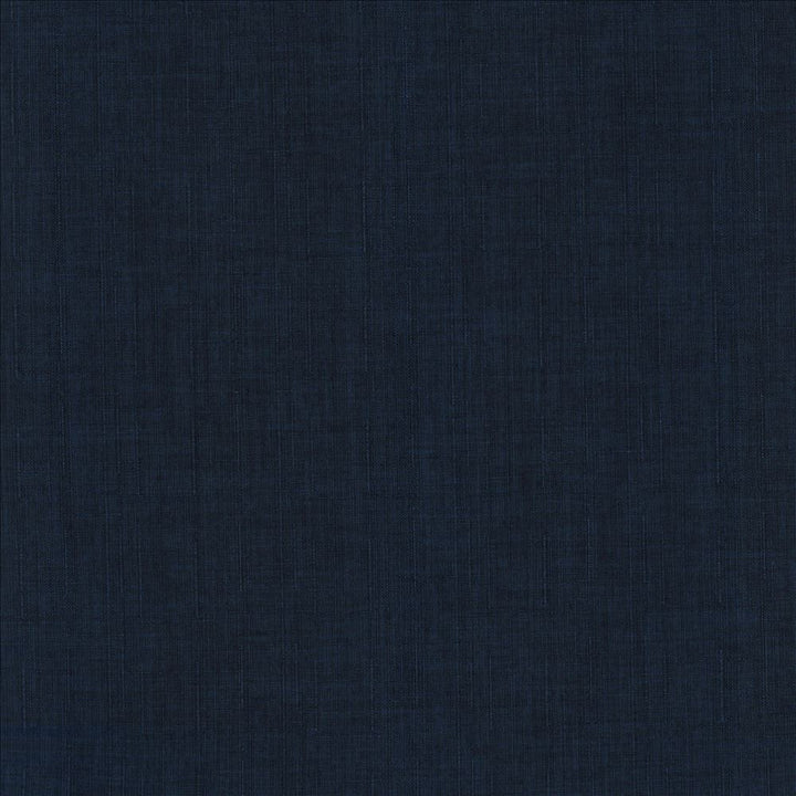 Robust Ink by Kasmir Fabric 5173 100% Polyester
 CHINA 81,000 Wyzenbeek Double Rubs </p><p>Repeat: Horizontal: N/A and Vertical: N/A 54 - Fabric Carolina -