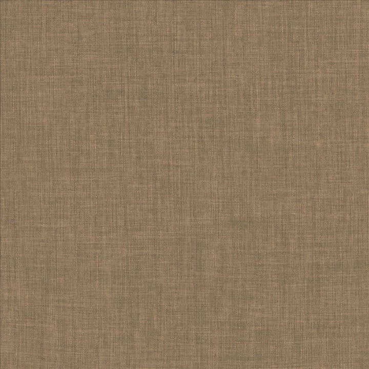 Robust Latte by Kasmir Fabric 5173 100% Polyester
 CHINA </p><p>Repeat: Horizontal: N/A and Vertical: N/A 54 - Fabric Carolina -