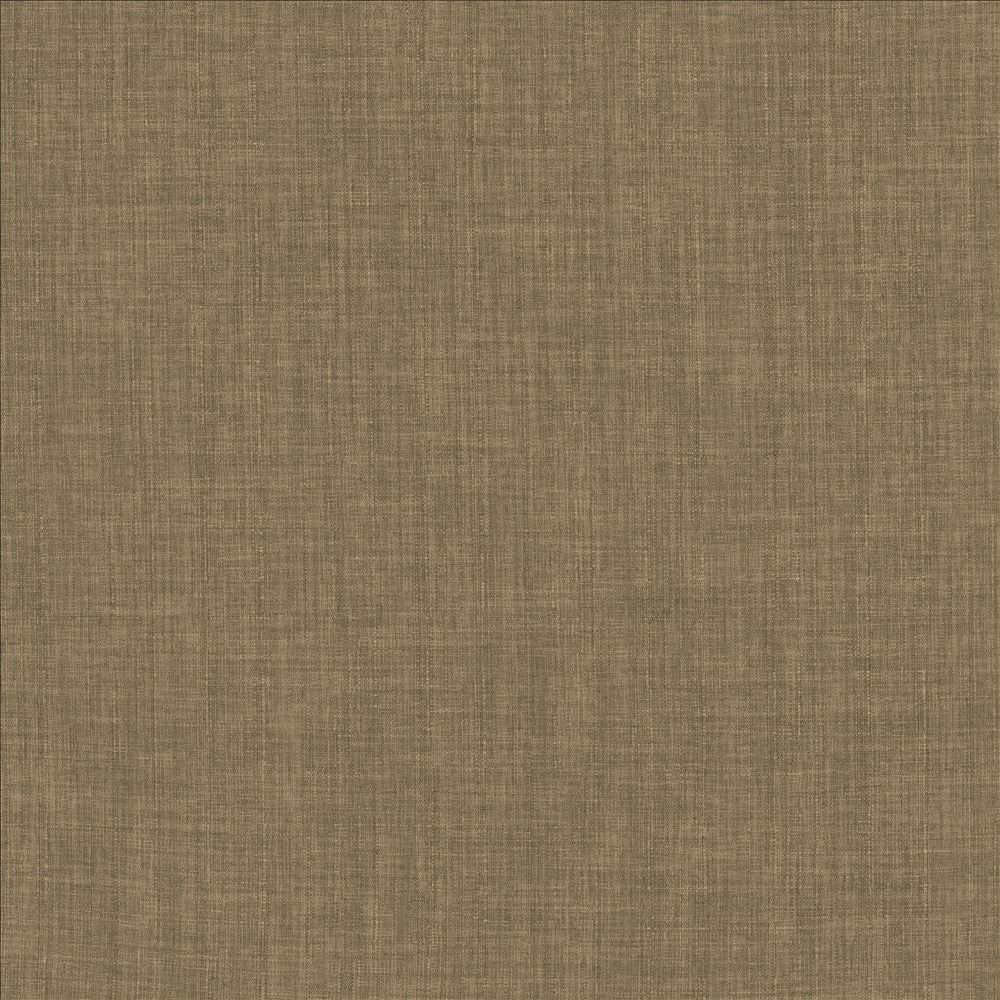 Robust Latte by Kasmir Fabric 5173 100% Polyester
 CHINA 81,000 Wyzenbeek Double Rubs </p><p>Repeat: Horizontal: N/A and Vertical: N/A 54 - Fabric Carolina -