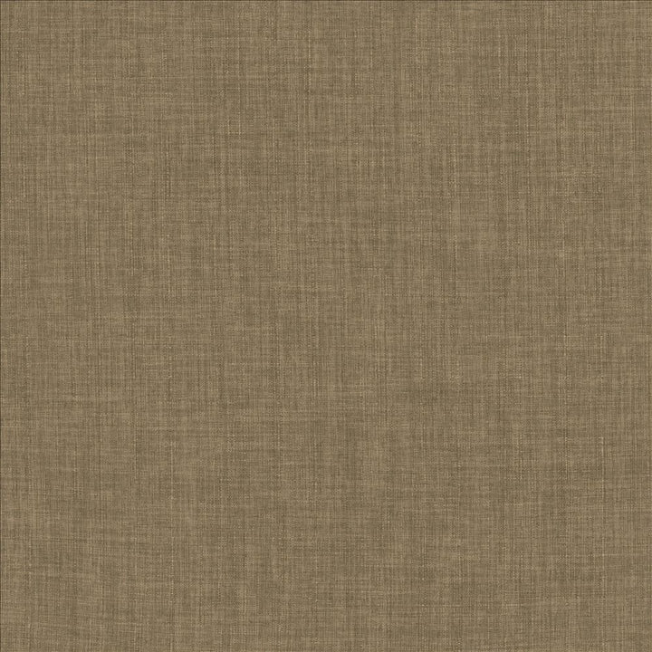 Robust Latte by Kasmir Fabric 5173 100% Polyester
 CHINA 81,000 Wyzenbeek Double Rubs </p><p>Repeat: Horizontal: N/A and Vertical: N/A 54 - Fabric Carolina -