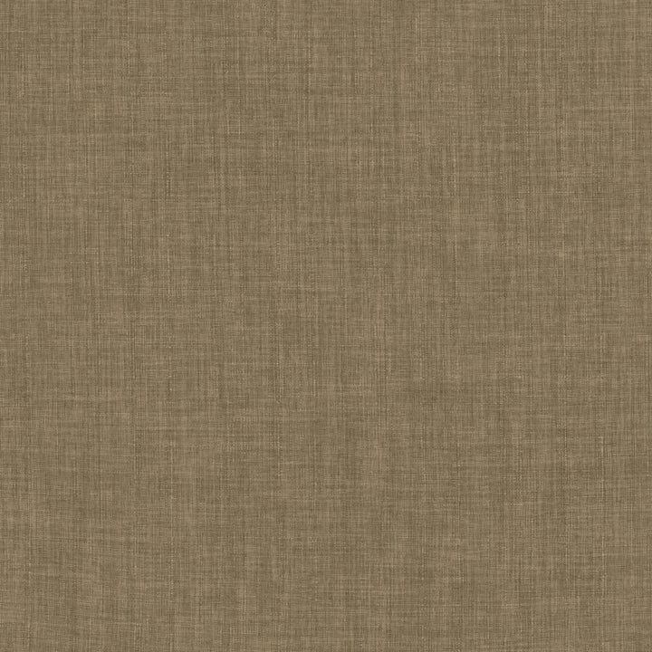 Robust Latte by Kasmir Fabric 5173 100% Polyester
 CHINA </p><p>Repeat: Horizontal: N/A and Vertical: N/A 54 - Fabric Carolina -
