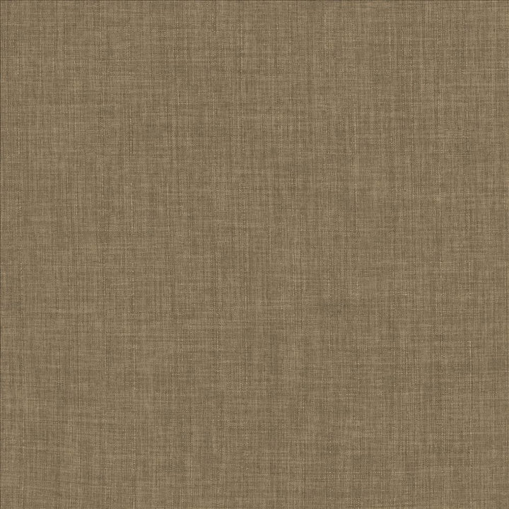 Robust Latte by Kasmir Fabric 5173 100% Polyester
 CHINA 81,000 Wyzenbeek Double Rubs Horizontal: N/A and Vertical: N/A 54 - Fabric Carolina -