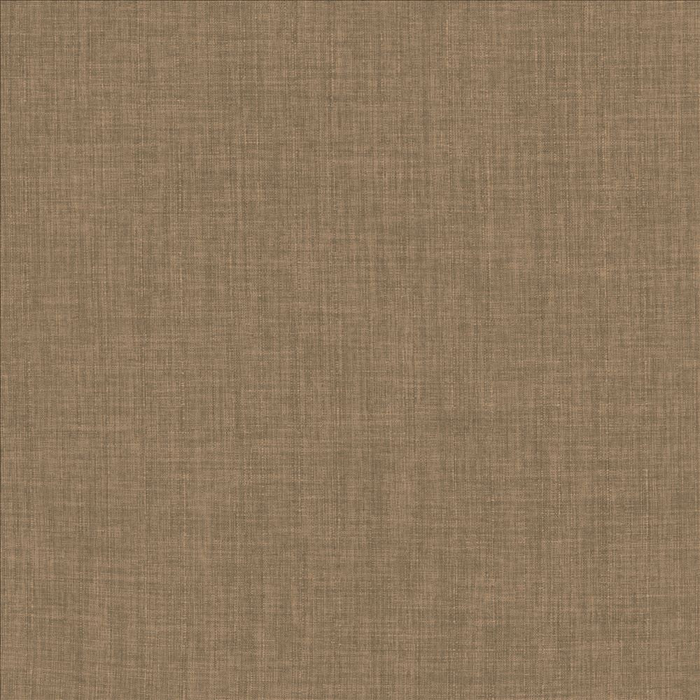Robust Latte by Kasmir Fabric 5173 100% Polyester
 CHINA </p><p>Repeat: Horizontal: N/A and Vertical: N/A 54 - Fabric Carolina -