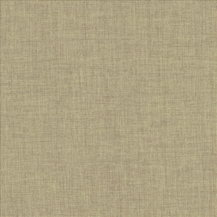 Robust Moon by Kasmir Fabric 5173 100% Polyester
 CHINA 81,000 Wyzenbeek Double Rubs </p><p>Repeat: Horizontal: N/A and Vertical: N/A 54 - Fabric Carolina -