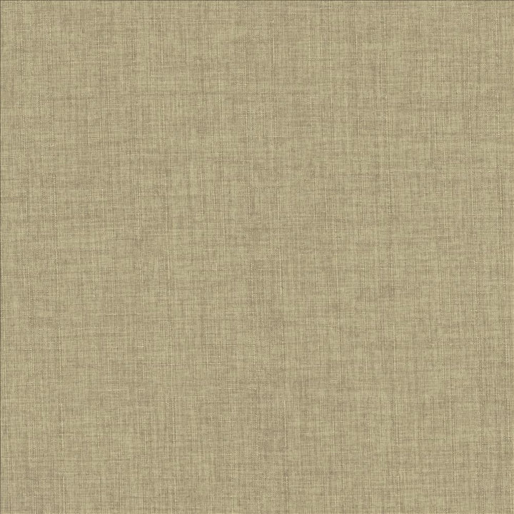 Robust Moon by Kasmir Fabric 5173 100% Polyester
 CHINA 81,000 Wyzenbeek Double Rubs Horizontal: N/A and Vertical: N/A 54 - Fabric Carolina -
