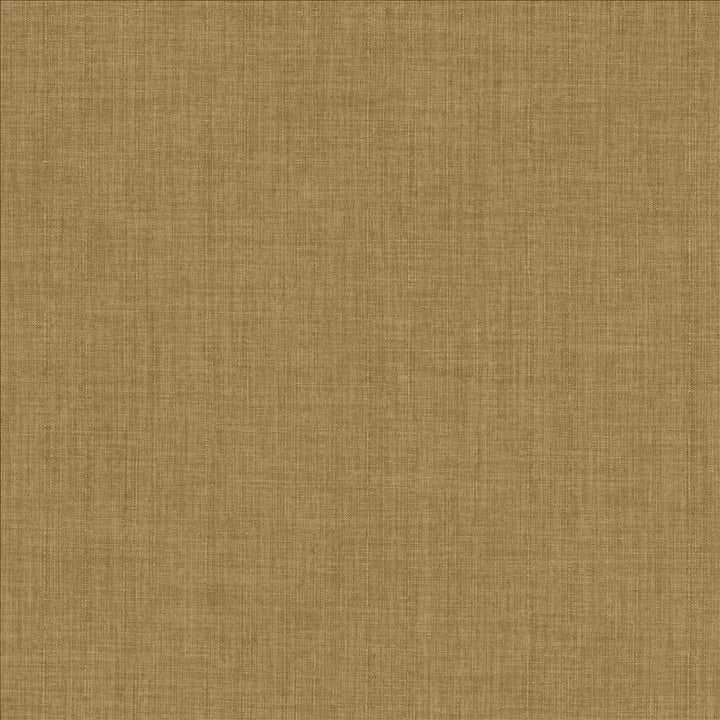 Robust Oat by Kasmir Fabric 5173 100% Polyester
 CHINA 81,000 Wyzenbeek Double Rubs Horizontal: N/A and Vertical: N/A 54 - Fabric Carolina -
