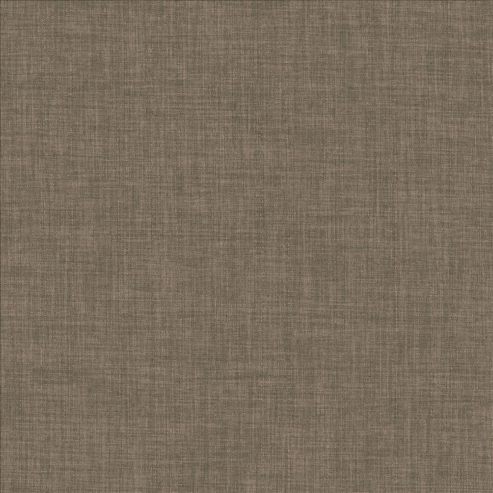 Robust Praline by Kasmir Fabric 5173 100% Polyester
 CHINA </p><p>Repeat: Horizontal: N/A and Vertical: N/A 54 - Fabric Carolina -